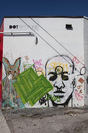 20161108_Wynwood_H5D2764