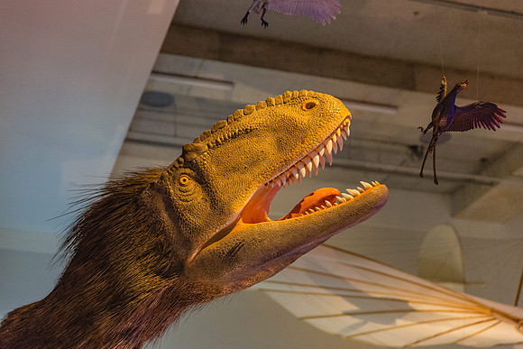 20170508_Science_Museum_9C7C5682