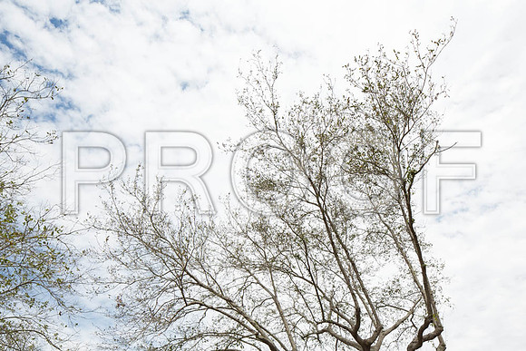 20140228_FIU_Nick_EXB_9C7C1549