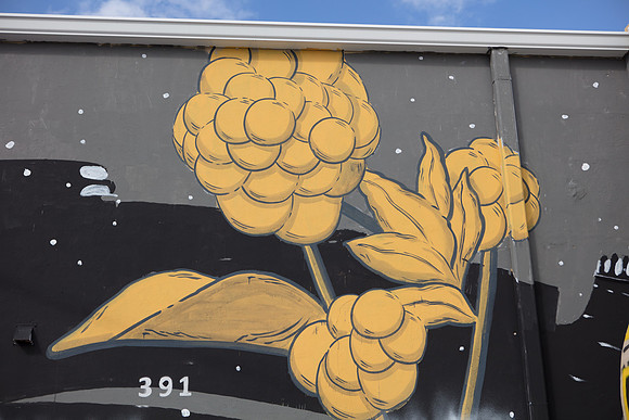 20161108_Wynwood_S5D3108