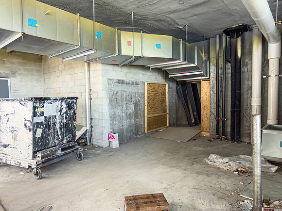 DN_20260817_Waldof_Astoria_60%_Moriarty_IMG_3228DN_