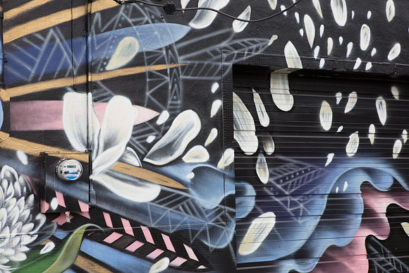 20161108_Wynwood_H5D2966