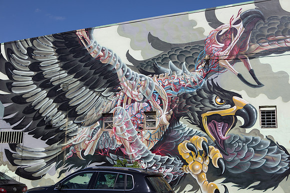 20161108_Wynwood_H5D2860