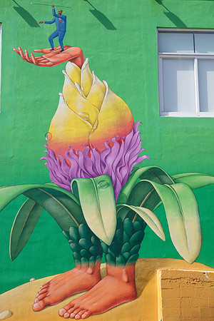 20161108_Wynwood_H5D2840