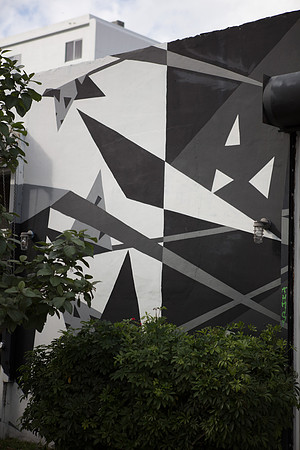 20161108_Wynwood_S5D3252