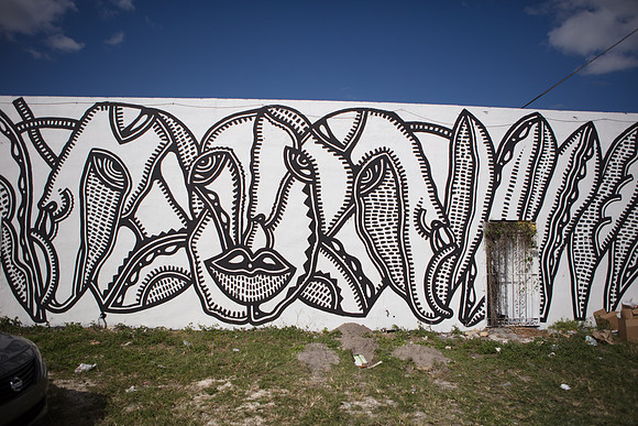 20161108_Wynwood_S5D2929