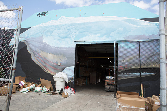 20161108_Wynwood_H5D2947