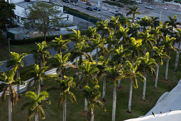 20160217_Museum_Park_Miami_City_Scape_S5A1142