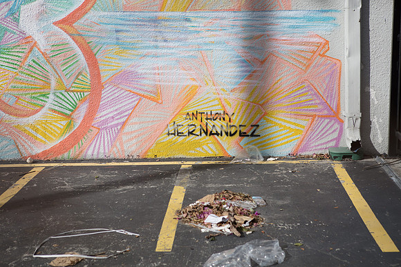 20161108_Wynwood_S5D3220