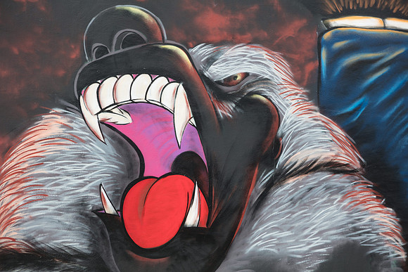 20161108_Wynwood_S5D3174