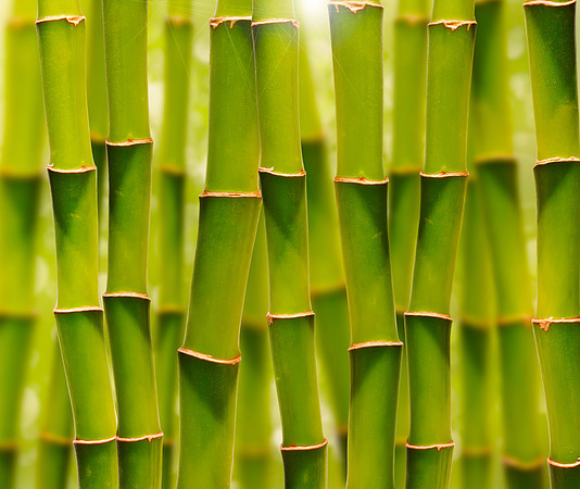 shutterstock_109964348