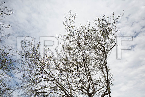 20140228_FIU_Nick_EXB_9C7C1535