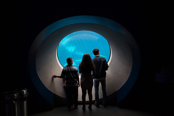 20170508_Science_Museum_9C7C5667