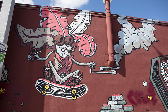 20161108_Wynwood_H5D2827
