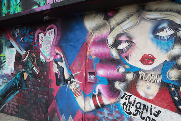 20161108_Wynwood_H5D2984
