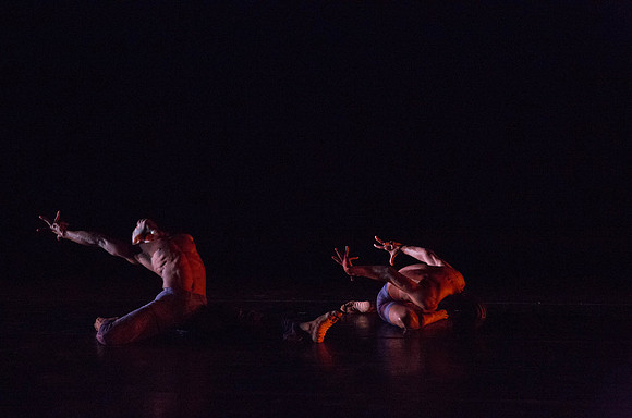 20131220_Ayikodans_Arsht__C7C1459