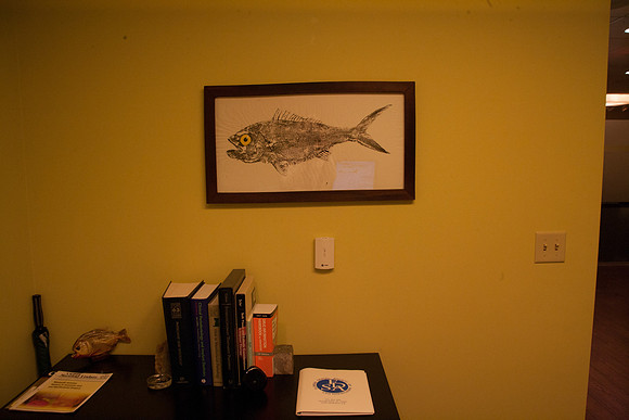20120611_20040418_Jeff_Blum_Dental_Mount_Sinai_Miami_FL4992-2-2