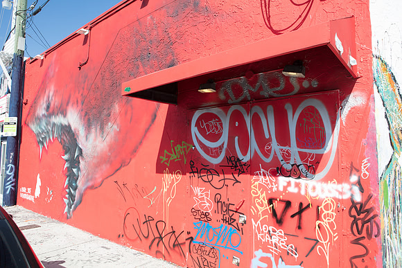 20161108_Wynwood_H5D2771