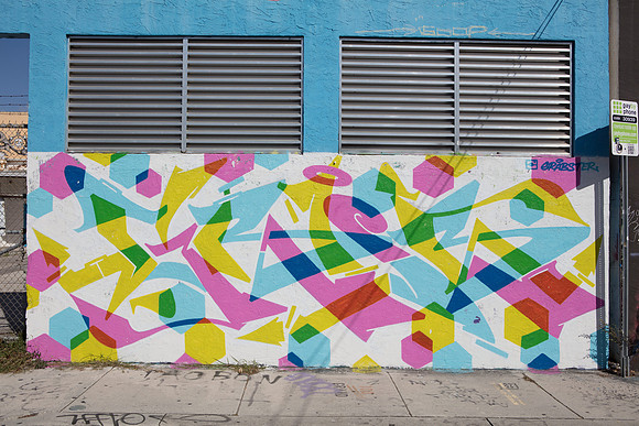 20161108_Wynwood_H5D2672