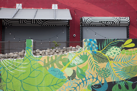 20161108_Wynwood_S5D3058