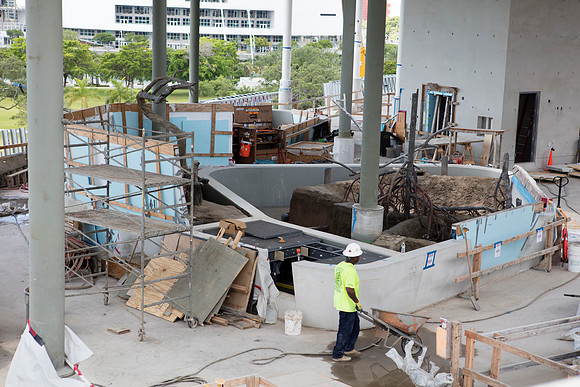 20160617_Science_Museum_S5A2150