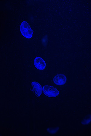20170508_Science_Museum_9C7C5588