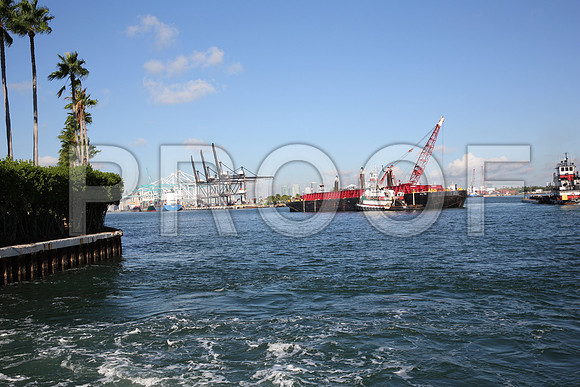 20141002_Goverment_Cut_Panama_Miami_FL_5322