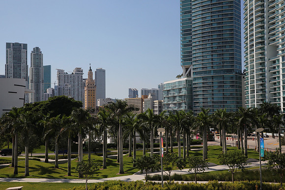 20151013_Miami_Landscape_IMG_1981