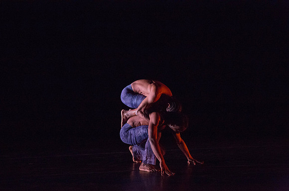 20131220_Ayikodans_Arsht__C7C1475