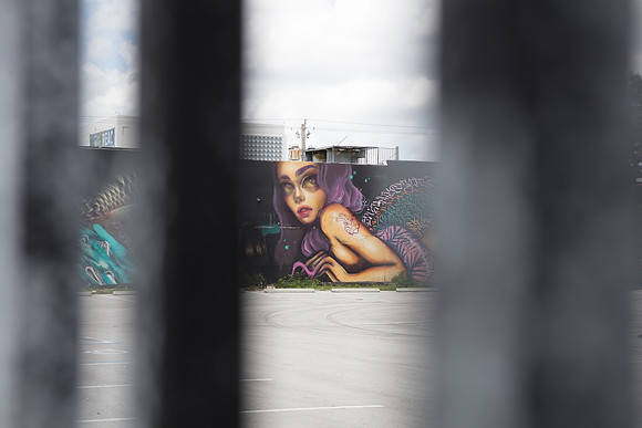 20161108_Wynwood_H5D2936