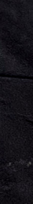20260925_W-E11 TOP OFF _MORIARTY_IMG_4834