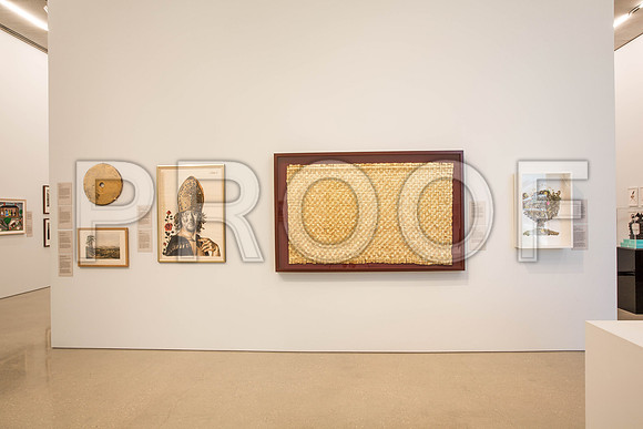 20140801_Pamm_9C7C8287