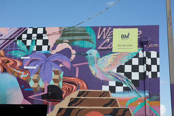 20161108_Wynwood_H5D2797