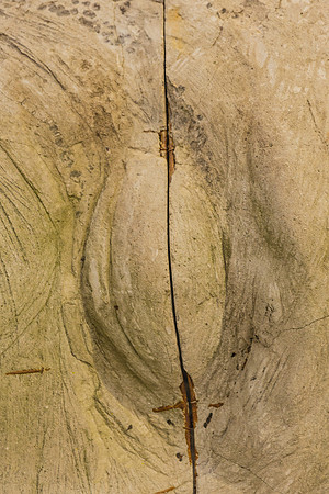 20150530_Pamm_Exhibition_Linda_9C7C8089