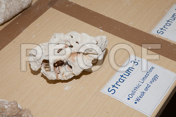 20120330_93762