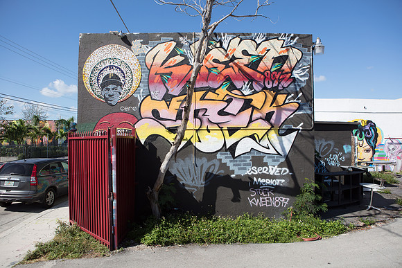 20161108_Wynwood_H5D2685