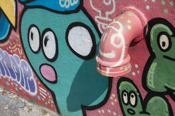 20161108_Wynwood_H5D2808