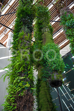 20140801_Pamm_9C7C7867