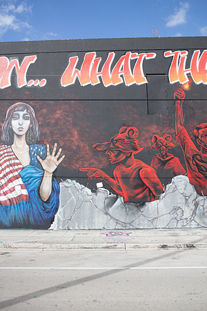 20161108_Wynwood_S5D3192