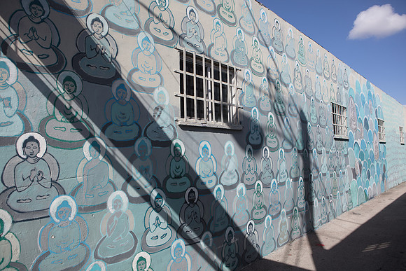 20161108_Wynwood_H5D2713