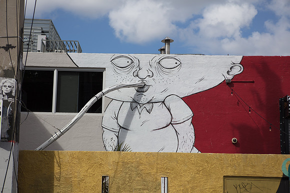 20161108_Wynwood_S5D3062