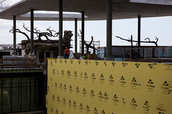 20160617_Science_Museum_S5A2190