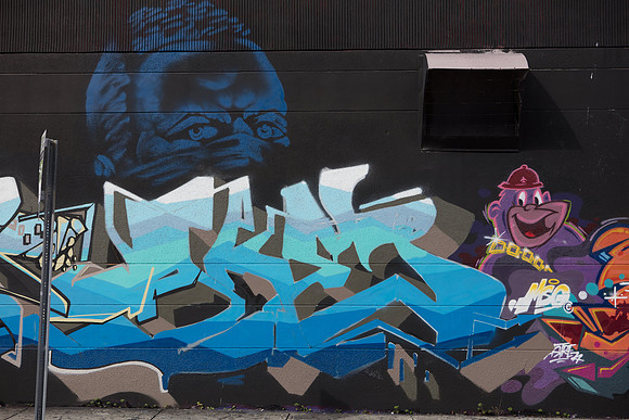 20161108_Wynwood_S5D3122