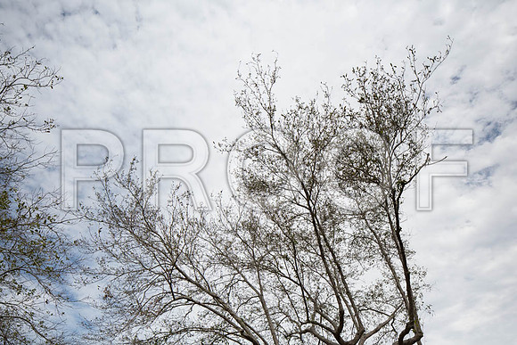 20140228_FIU_Nick_EXB_9C7C1536