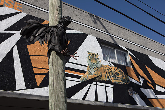 20161108_Wynwood_H5D2745