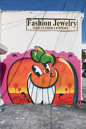 20161108_Wynwood_H5D2879
