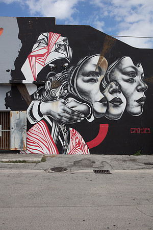 20161108_Wynwood_H5D2955