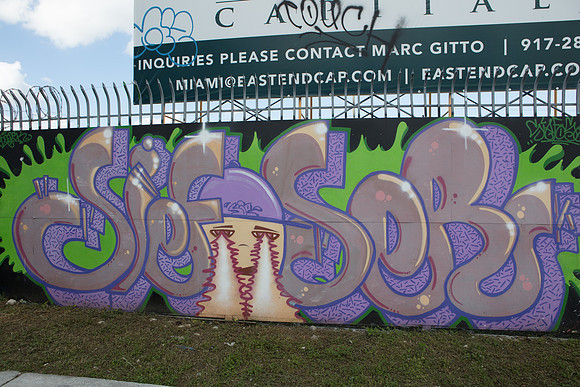 20161108_Wynwood_S5D3022
