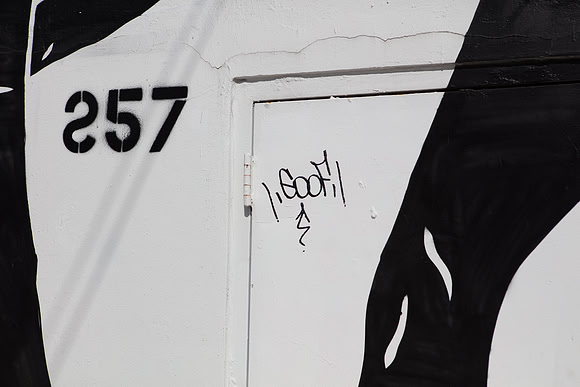 20161108_Wynwood_H5D2782