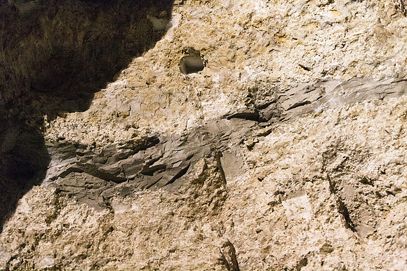 20000810_A0M2148_SH
